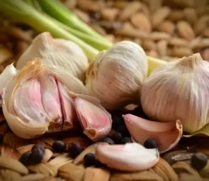 organização de alimentos