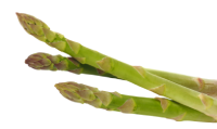 ESPARGOS