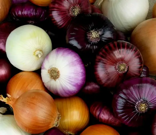 Descubra os 18 superalimentos que vão transformar sua saúde! Uma lista completa com todos os nutrientes que seu corpo precisa para mais energia, vitalidade e longevidade.
