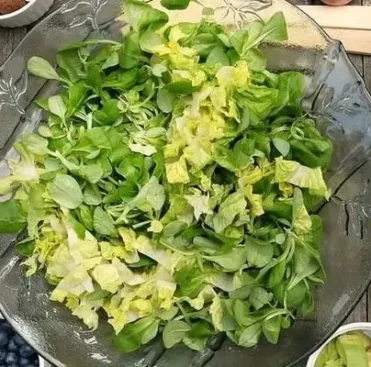 Receita de Salada verde simples