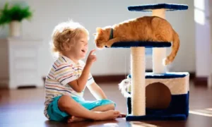 criança com gato